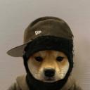 Memecoin Launches Icon