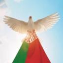 Friends-Belarus-Support Icon