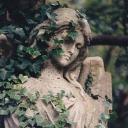 Angels Garden Icon