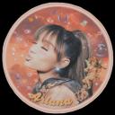 Ariana♡ Icon
