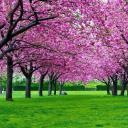 jardim dos amigos Icon