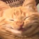 Connected Reverie Icon