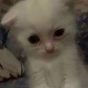 𝘐𝘯𝘧𝘪𝘯𝘪𝘵𝘦 𝘎𝘳𝘢𝘷𝘦 Icon