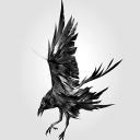 The crow gang Icon