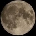 Night Creatures Icon