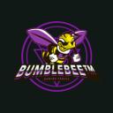 bumblebee™ Icon