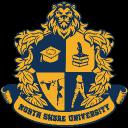 North Shore University Icon
