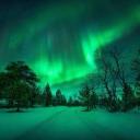 northern market Icon