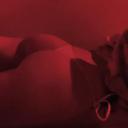 lily's nude palace Icon