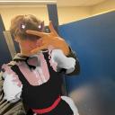 best fights (world wide) Icon