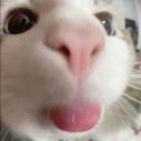 ash's little house Icon