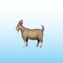 LAS CABRAS Icon