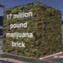 Crows Bird House Icon