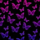 Bisexual Server Icon