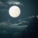 ᥫ᭡moon rise 🌕|| kny rp Icon