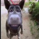 Breaking bad reference Icon