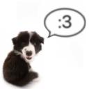 🐾Puppy Pen🦴 Icon