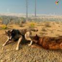 WolfQuest: Wanderers Den Icon