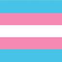 Trans Español Icon