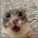 ☁️Cloud 9✨ Icon