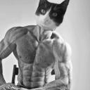 Kartuş Adam'ın Yeri Icon