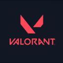 Valorant Icon