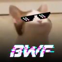 Better With Friends - BWF Icon