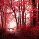 Val’s Lovely Forest | Dating 13+ Icon