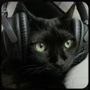 𖤐˚• bluu’s catzᯓ Icon