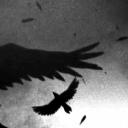 (TSTS) The Server That Serves Icon