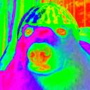 Capitán Sandia Icon