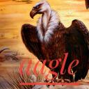 aagle Community Server Icon