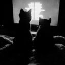 ₊ ˢᵒᵏᵒ Icon