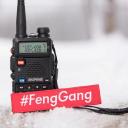 FengGang Icon