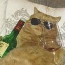 ? Black Tigers ? Icon