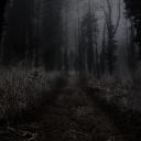 𓋼𖤣𖥧⊱LøstSøūl_Grøvē⊰𖥧𖤣𓋼 Icon