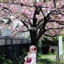 /Sakura Icon