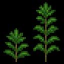 Silly Seamus smp Icon