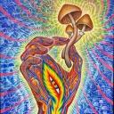 Psychedelics Store Icon