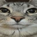 Alien gang 👽🙏 Icon