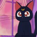 Purrfect Café✨ Icon