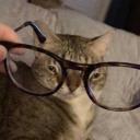 That One Furry Place Icon