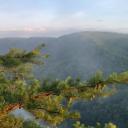 Sustainable Living Icon