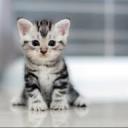 ?Paradise in life? Icon