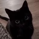 /noir | 100+ Guilds Icon