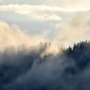 psych critical support Icon