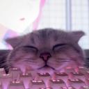 RTC Bağlanıyor... Icon