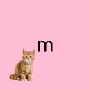 meowmeow Icon