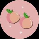 The Fruit Basket Icon