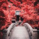 ?Meet & Chill [FR]? Icon